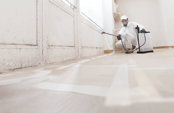 24/7 Emergency Mold Removal experts in Laingsburg, MI